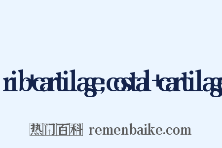 rib+cartilage;costal+cartilage是什么意思的图片